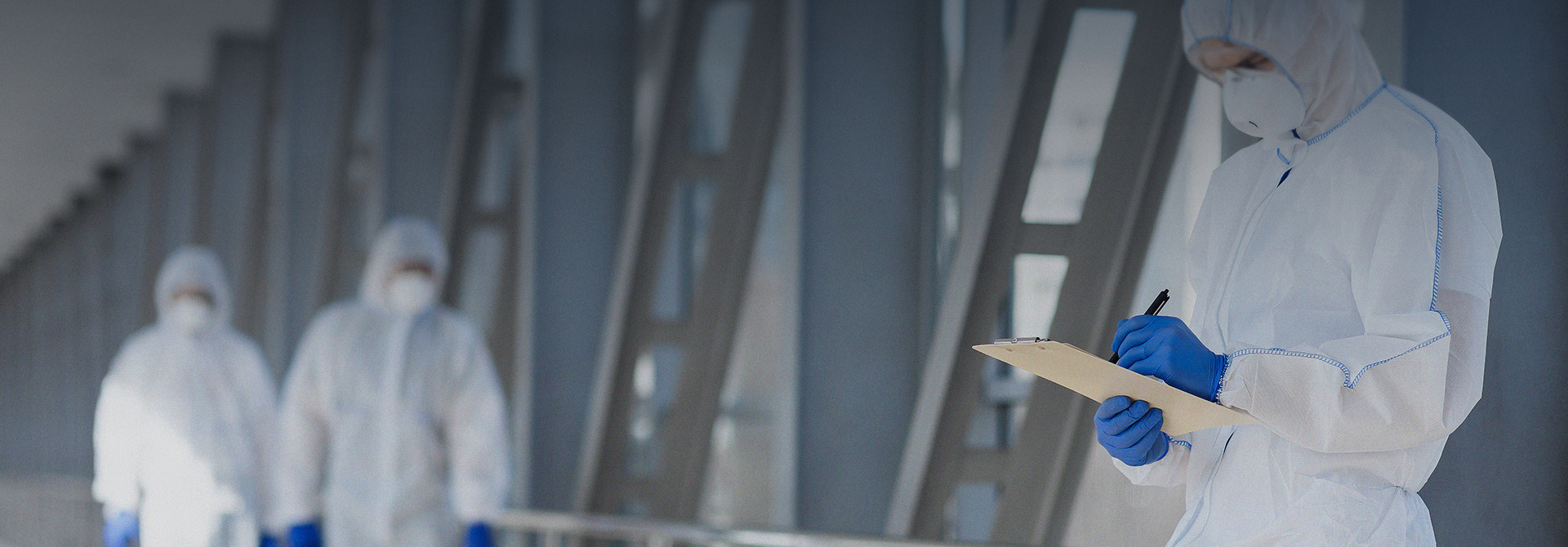 历泰护环境，害虫全清零