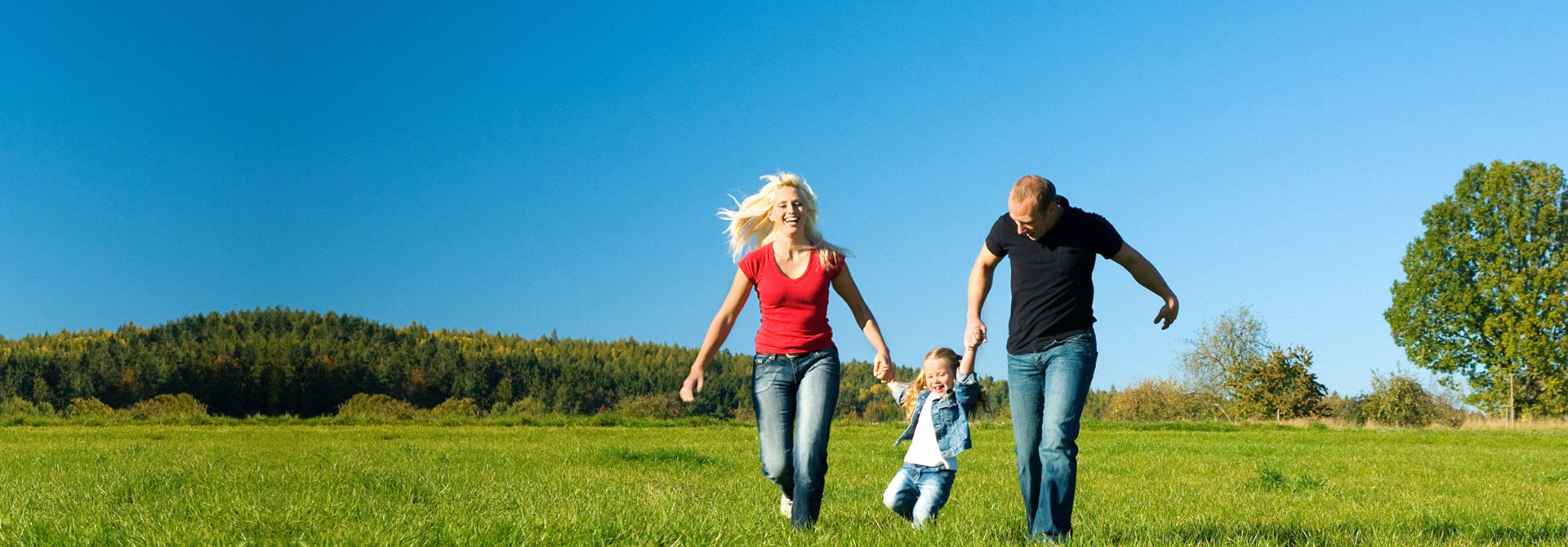 专业选历泰，安全更放心