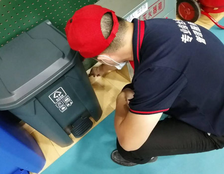 餐饮门店虫控案例