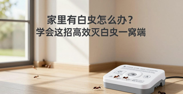 高效灭白蚁_灭白蚁最有效的药_灭白蚁的杀虫剂